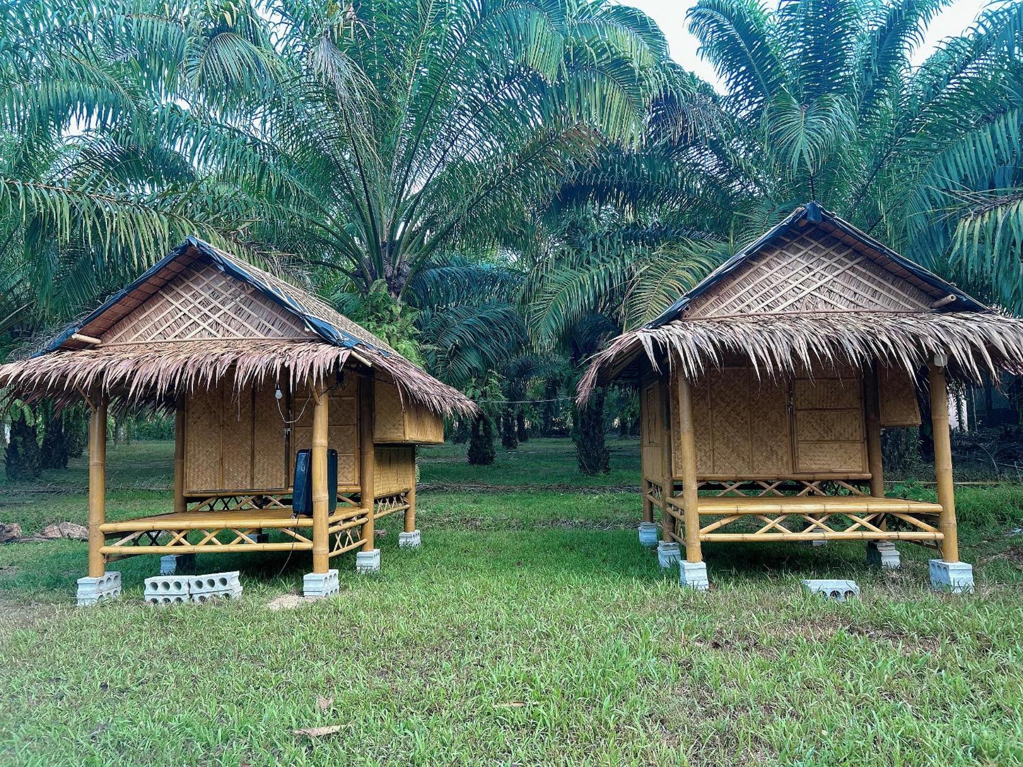 ホテル Khaosok August Freedom Camp Khao Sok National Park エクステリア 写真