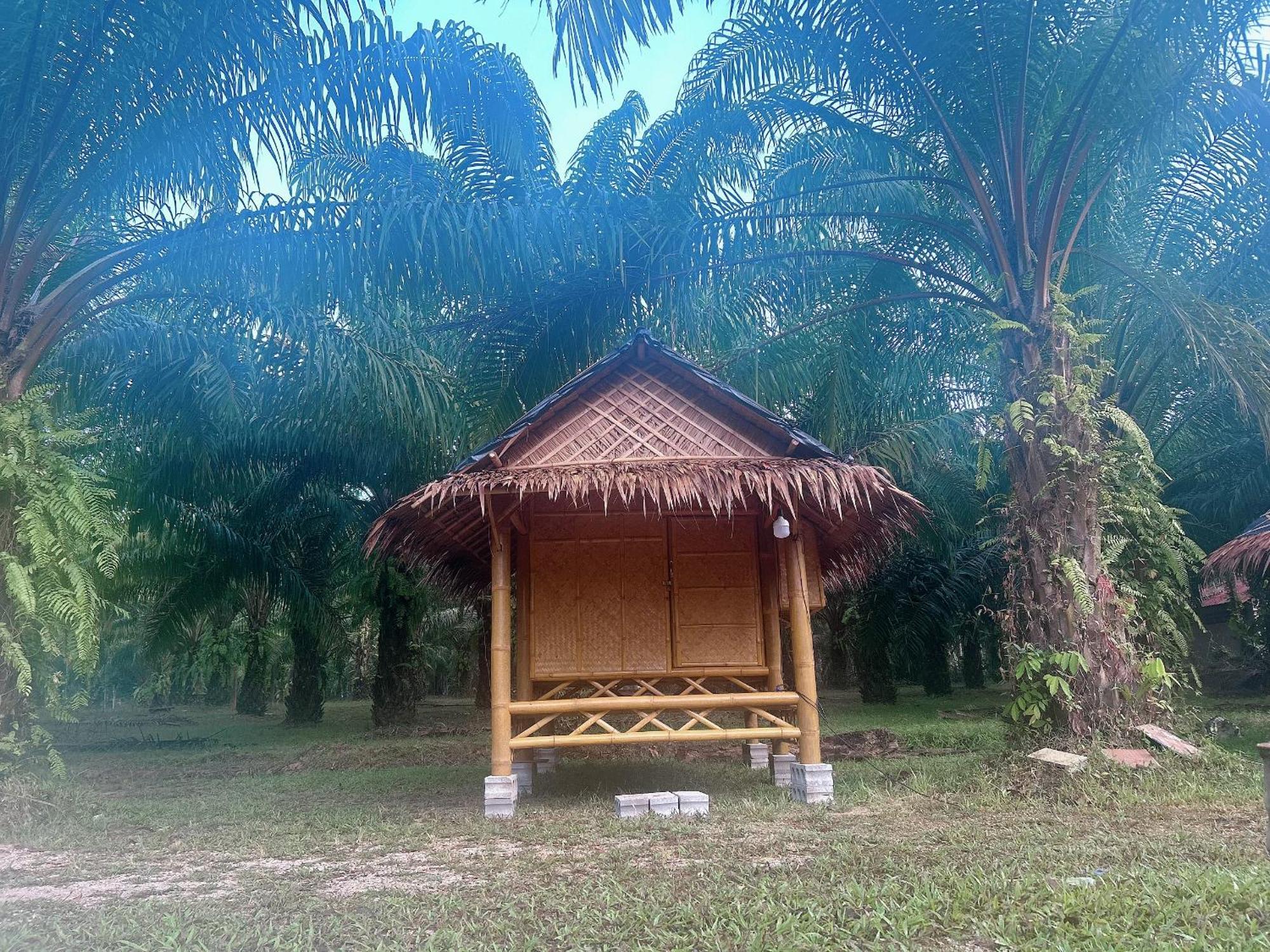 ホテル Khaosok August Freedom Camp Khao Sok National Park エクステリア 写真