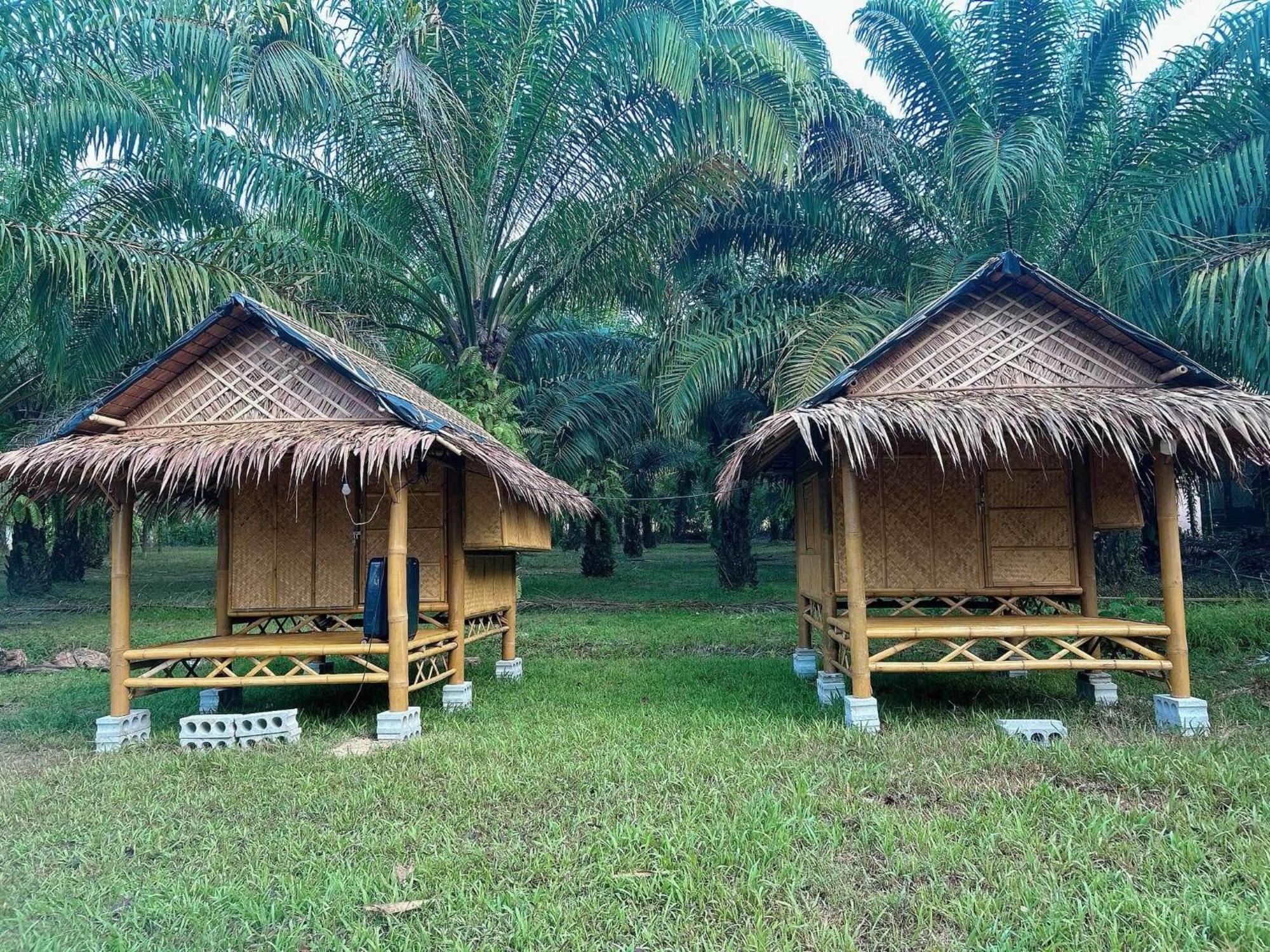 ホテル Khaosok August Freedom Camp Khao Sok National Park エクステリア 写真