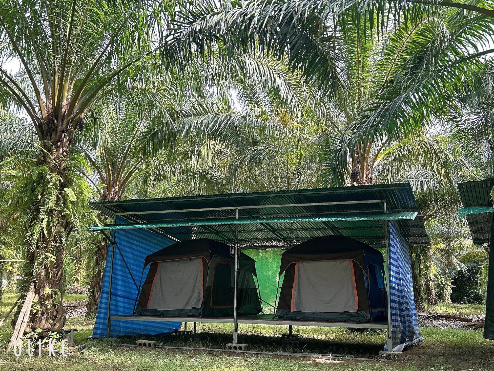 ホテル Khaosok August Freedom Camp Khao Sok National Park エクステリア 写真