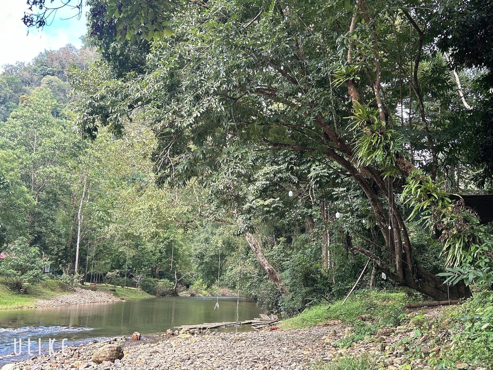 ホテル Khaosok August Freedom Camp Khao Sok National Park エクステリア 写真