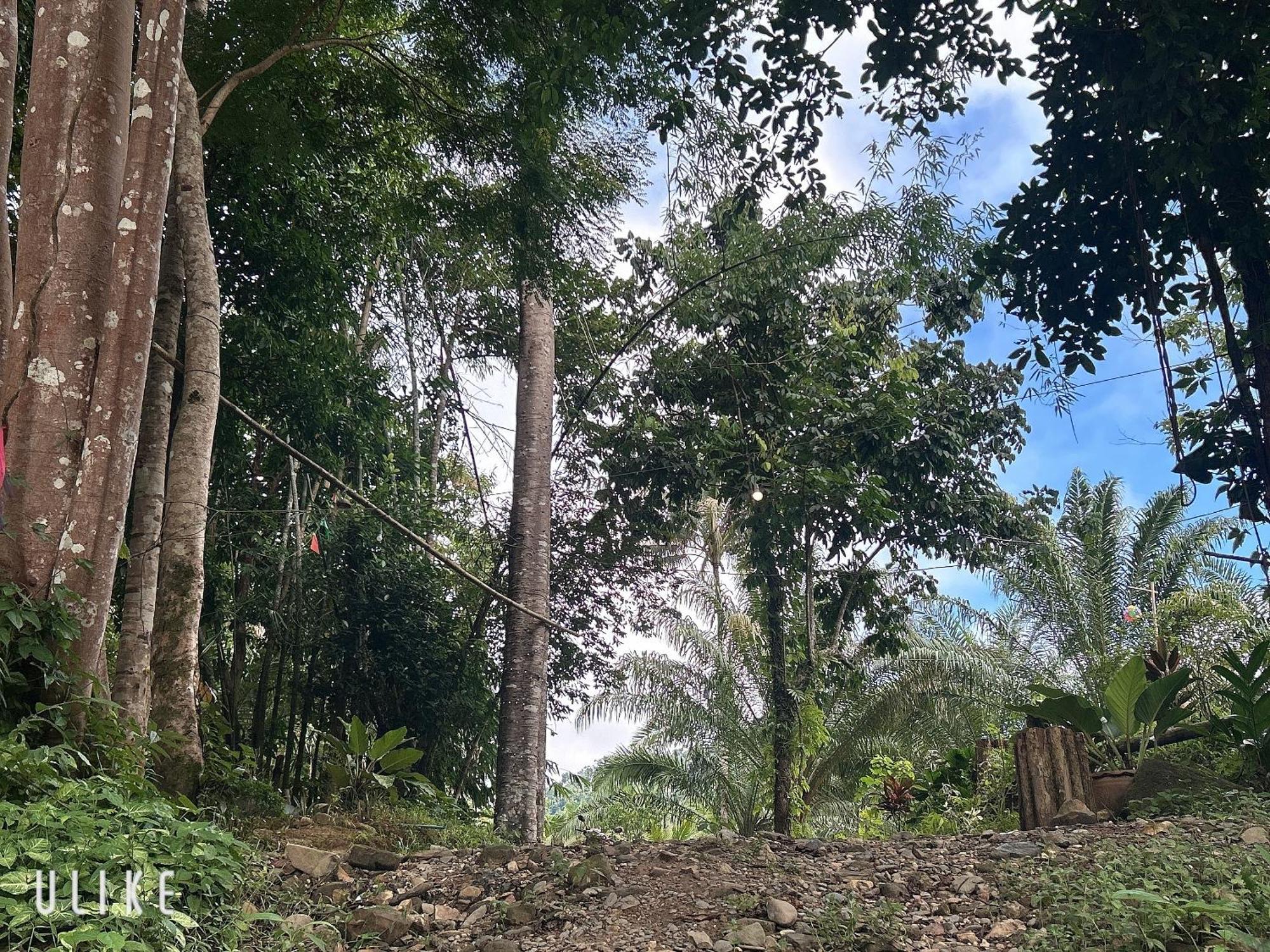 ホテル Khaosok August Freedom Camp Khao Sok National Park エクステリア 写真