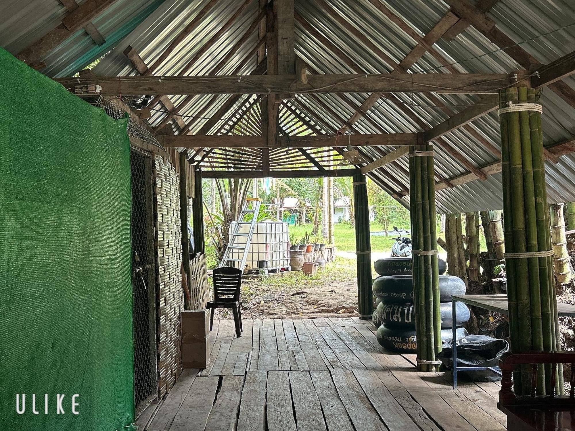 ホテル Khaosok August Freedom Camp Khao Sok National Park エクステリア 写真
